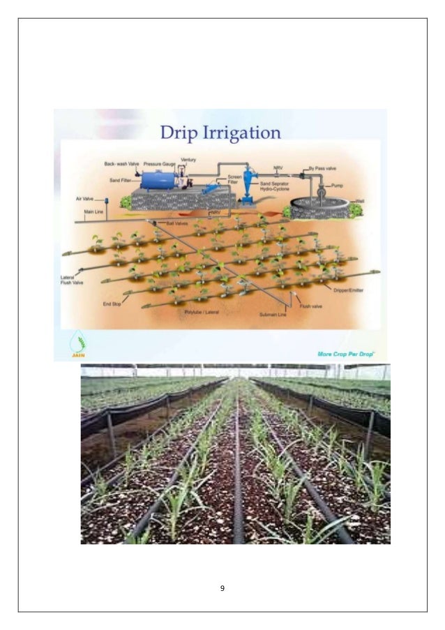 REPORT FILE ON DRIP IRRIGATION