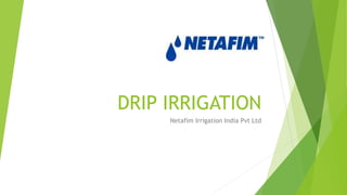 DRIP IRRIGATION
Netafim Irrigation India Pvt Ltd
 