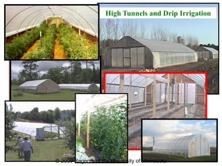 High Tunnels and Drip Irrigation




                                      Making a Difference in Minnesota




© 2009 Regents of the University of Minnesota
 