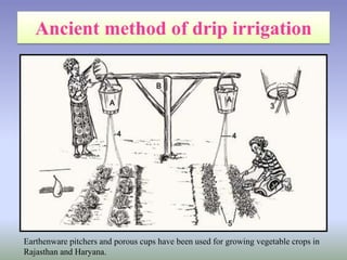 Earthenware pitchers and porous cups have been used for growing vegetable crops in
Rajasthan and Haryana.
 