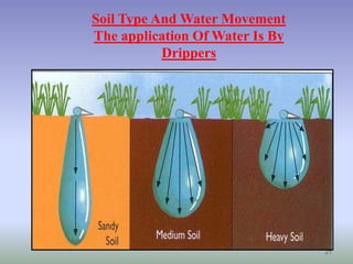 Soil Type And Water Movement
The application Of Water Is By
Drippers
21
 