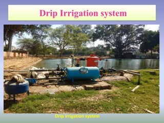 Drip irrigation system
 
