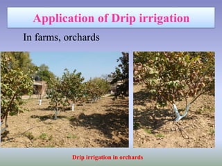 In farms, orchards
Drip irrigation in orchards
 