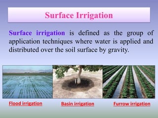 Surface irrigation is defined as the group of
application techniques where water is applied and
distributed over the soil surface by gravity.
Flood irrigation Basin irrigation Furrow irrigation
 
