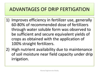 ADVANTAGES OF DRIP FERTIGATION
1) Improves efficiency in fertilizer use, generally
60-80% of recommended dose of fertilizers
through water soluble form was observed to
be sufficient and secure equivalent yields of
crops as obtained with the application of
100% straight fertilizers.
2) High nutrient availability due to maintenance
of soil moisture near field capacity under drip
irrigation.
Manda Raghavendra Reddy
 