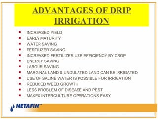 ADVANTAGES OF DRIP
IRRIGATION













INCREASED YIELD
EARLY MATURITY
WATER SAVING
FERTILIZER SAVING
INCREASED FERTILIZER USE EFFICIENCY BY CROP
ENERGY SAVING
LABOUR SAVING
MARGINAL LAND & UNDULATED LAND CAN BE IRRIGATED
USE OF SALINE WATER IS POSSIBLE FOR IRRIGATION
REDUCED WEED GROWTH
LESS PROBLEM OF DISEASE AND PEST
MAKES INTERCULTURE OPERATIONS EASY

 