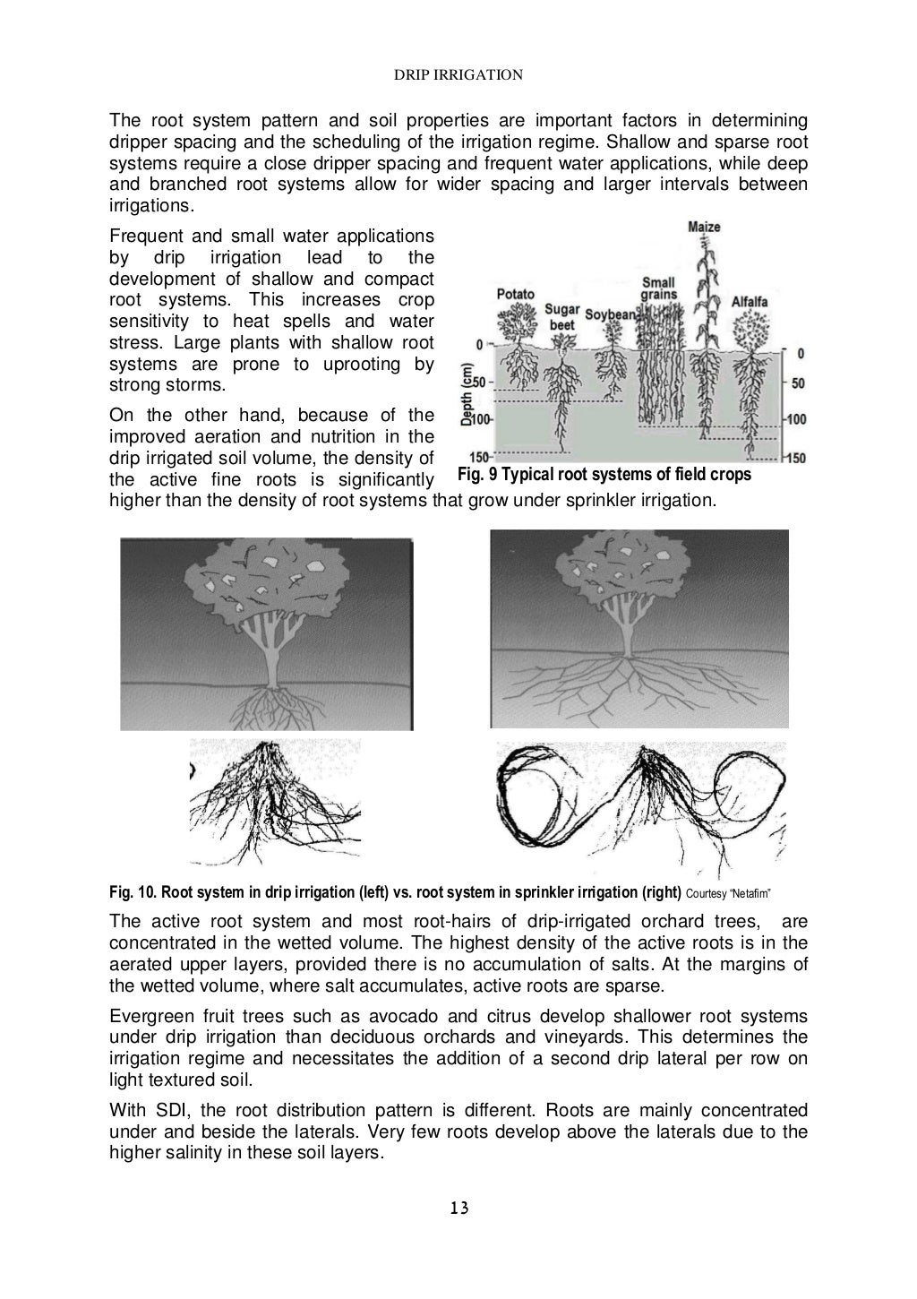 Drip irrigation handbook 2005