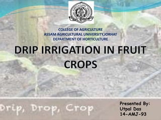 COLLEGE OF AGRICULTURE
ASSAM AGRICULTURAL UNIVERSITY,JORHAT
DEPARTMENT OF HORTICULTURE
Presented By:
Utpal Das
14-AMJ-93
 
