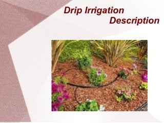 Drip Irrigation
Description
 