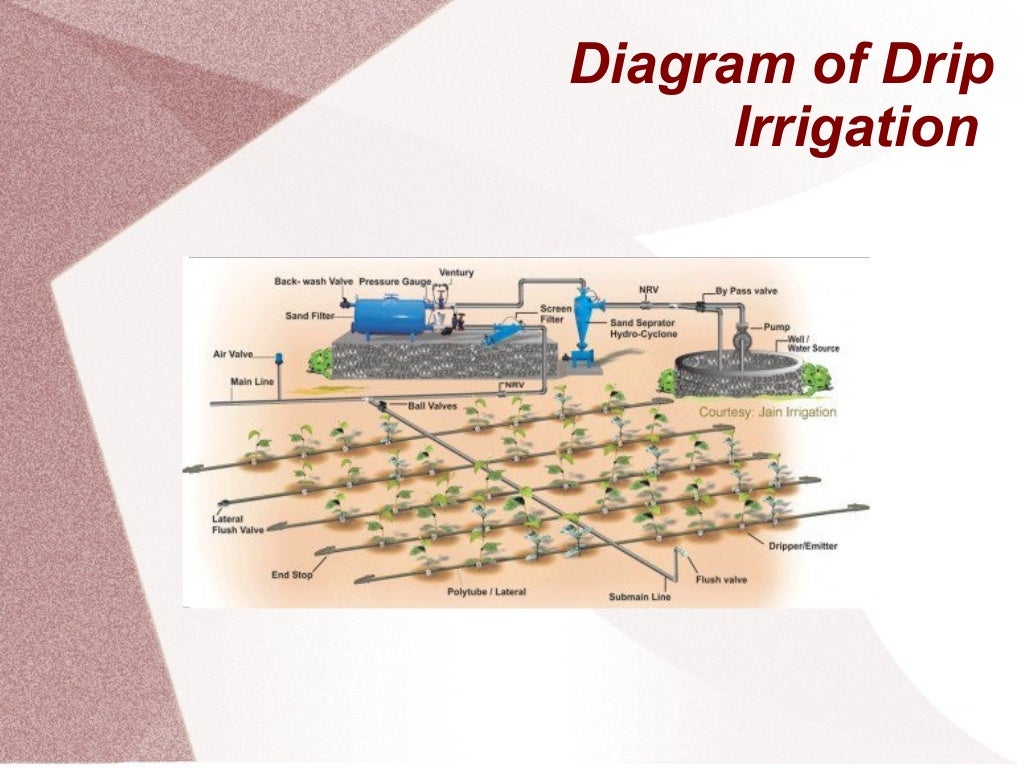 Drip Irrigation System Slide Share