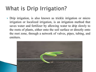 Drip irrigation, is also known as trickle irrigation or micro
irrigation or localized irrigation, is an irrigation method that
saves water and fertilizer by allowing water to drip slowly to
the roots of plants, either onto the soil surface or directly onto
the root zone, through a network of valves, pipes, tubing, and
emitters.
 