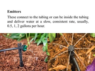 Emitters
These connect to the tubing or can be inside the tubing
and deliver water at a slow, consistent rate, usually,
0.5, 1, 2 gallons per hour.
 
