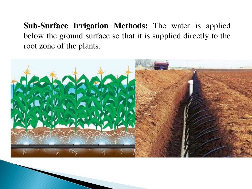 drip-irrigation-waseem-ppt