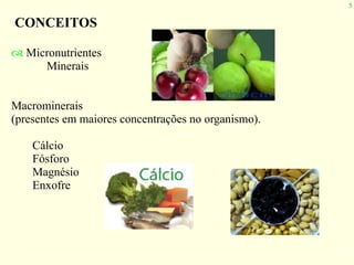 5
CONCEITOS
! Micronutrientes
Minerais
Macrominerais
(presentes em maiores concentrações no organismo).
Cálcio
Fósforo
Magnésio
Enxofre
 