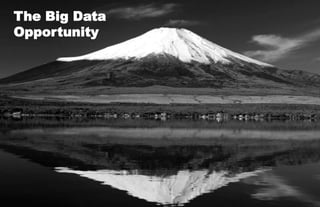 The Big Data Opportunity