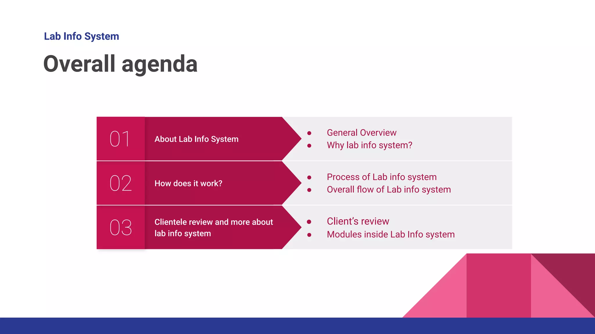 Lab Info System
Overall agenda
Clientele review and more about
lab info system
03 ● Client’s review
● Modules inside Lab Info system
How does it work?
02 ● Process of Lab info system
● Overall ﬂow of Lab info system
About Lab Info System
01 ● General Overview
● Why lab info system?
 