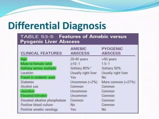 Liver Abscesses Algorithm Liver abscess, summary and principle about treatment | PPTX