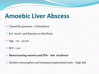 Liver Abscesses Algorithm Liver abscess, summary and principle about treatment | PPTX