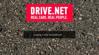 Creating a niche social network.
 