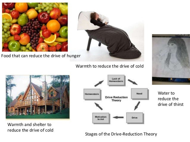 Drive reduction theory 