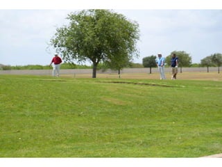 Drive out hunger part 2