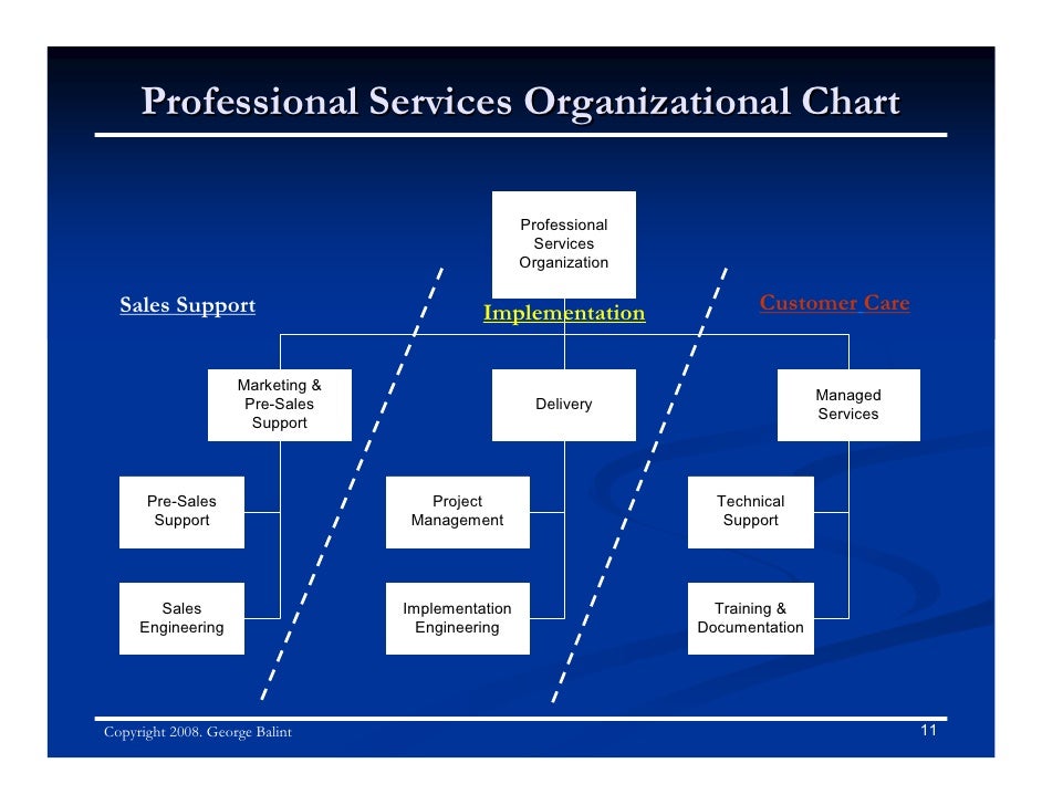 Professional Services Organization Chart