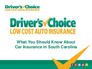 What You Should Know About
Car Insurance in South Carolina
 