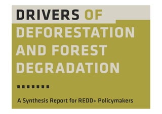 Drivers of deforestation and forest degradation | PDF