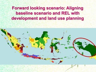 Drivers, forest transitions and setting baselines at sub-national level