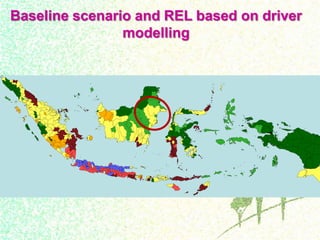Drivers, forest transitions and setting baselines at sub-national level