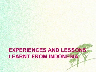 Drivers, forest transitions and setting baselines at sub-national level