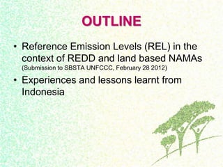 Drivers, forest transitions and setting baselines at sub-national level