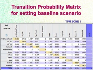Drivers, forest transitions and setting baselines at sub-national level