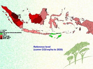 Drivers, forest transitions and setting baselines at sub-national level
