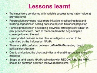 Drivers, forest transitions and setting baselines at sub-national level