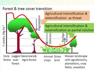 Drivers, forest transitions and setting baselines at sub-national level