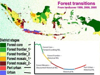 Drivers, forest transitions and setting baselines at sub-national level