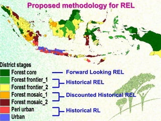 Drivers, forest transitions and setting baselines at sub-national level