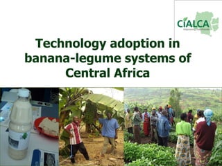 Technology adoption in banana-legume systems of Central Africa 