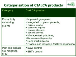 Categorisation of CIALCA products  Category CIALCA product Productivity enhancing (ISFM) <ul><li>Improved germplasm. </li>...