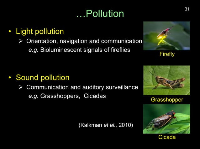 Drivers of insect decline.pptx | Agriculture | Industries