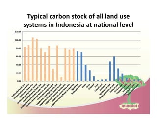 Drivers of land use changes and opportunities to reduc emissions in indonesia