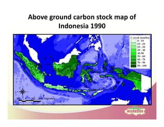 Drivers of land use changes and opportunities to reduc emissions in indonesia