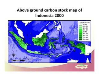 Drivers of land use changes and opportunities to reduc emissions in indonesia