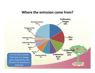 Drivers of land use changes and opportunities to reduc emissions in indonesia