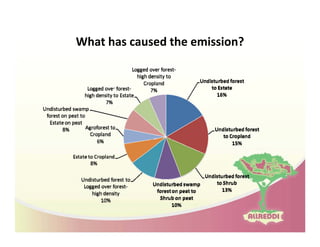Drivers of land use changes and opportunities to reduc emissions in indonesia
