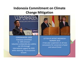 Drivers of land use changes and opportunities to reduc emissions in indonesia