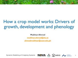 How a crop model works: Drivers of
growth, development and phenology
Mukhtar Ahmed
mukhtar.ahmed@slu.se
ahmadmukhtar@uaar.edu.pk
1
 