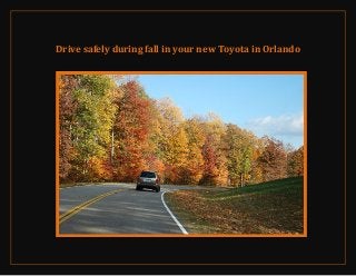 Drive safely during fall in your new Toyota in Orlando
 
