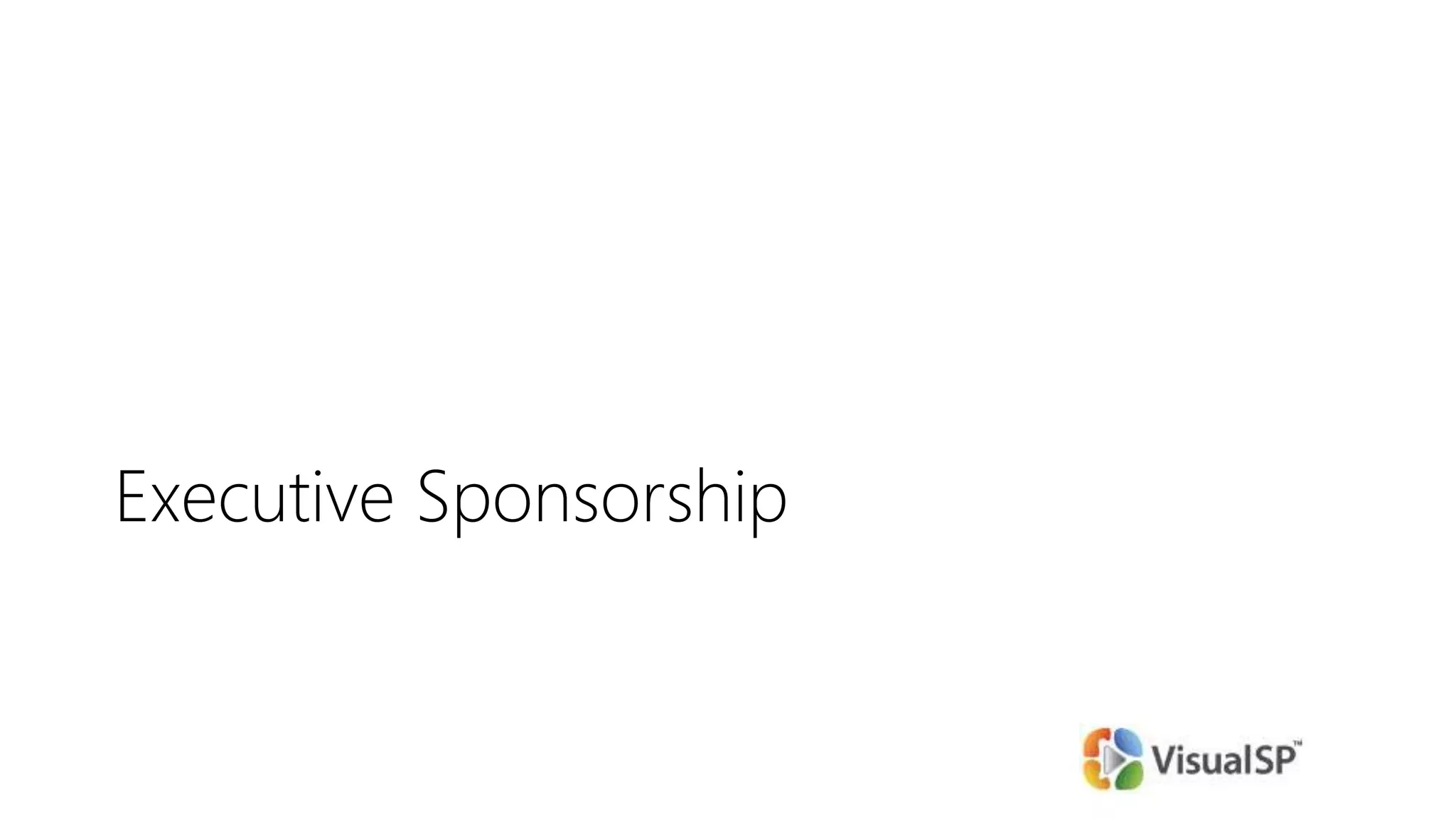 Executive Sponsorship
 
